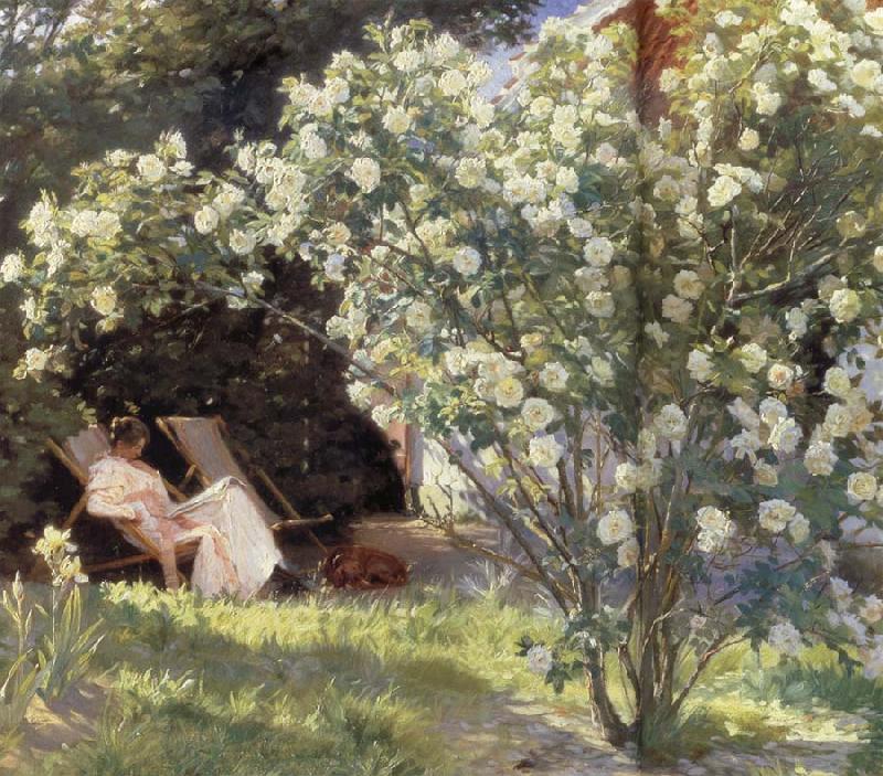 Peder Severin Kroyer Rose Garden